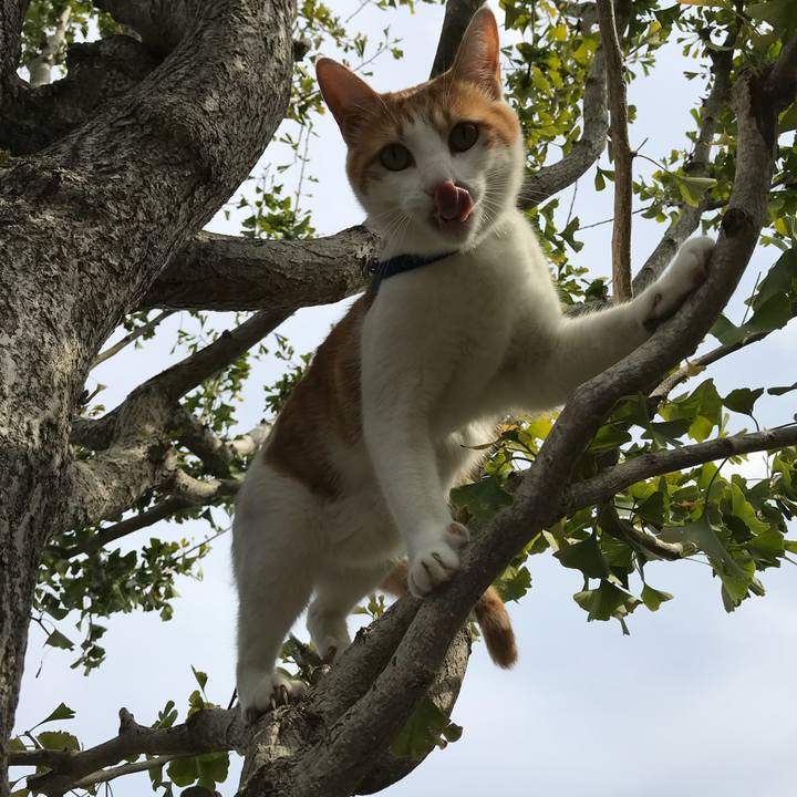 99fe6f9f 9fc7 4039 8bed 09fcb4920b75 1509160063612