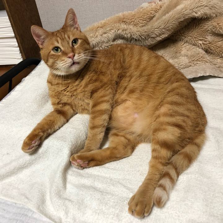 99fe7a3a 77d0 4e03 8036 fda1b2bf7ebe 1590670206365