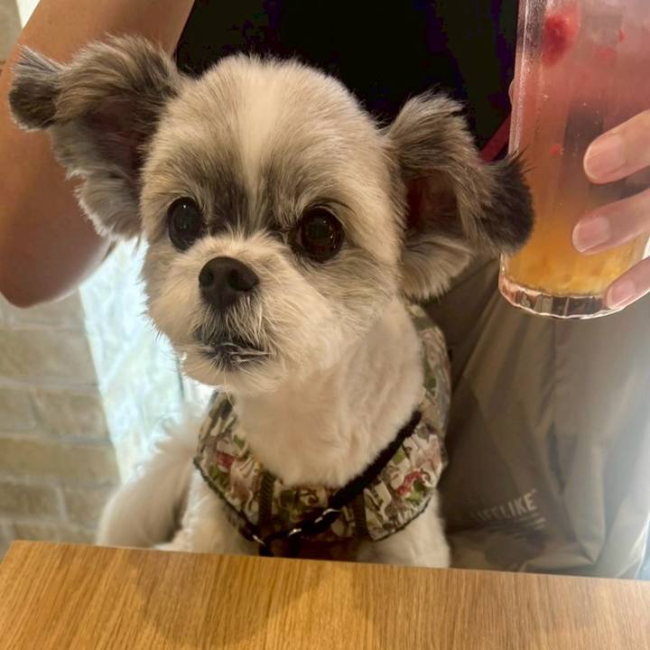 99fea1ea 1be4 46f5 866a 955146f34c52 1759126412489