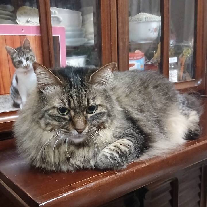 99feb908 061d 44c7 98aa a186dbe3c53b 1751032023944