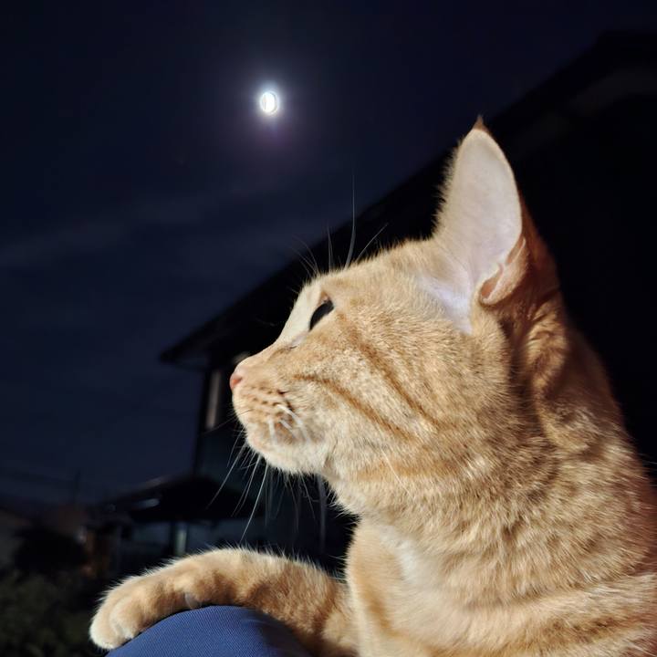 99fef027 725e 4e1e bc0f 411207b562aa 1759750424214