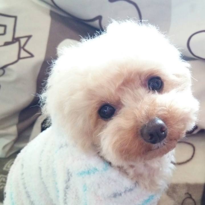 99ff1115 8b90 449c 96a2 b594272f8783 1543189468158