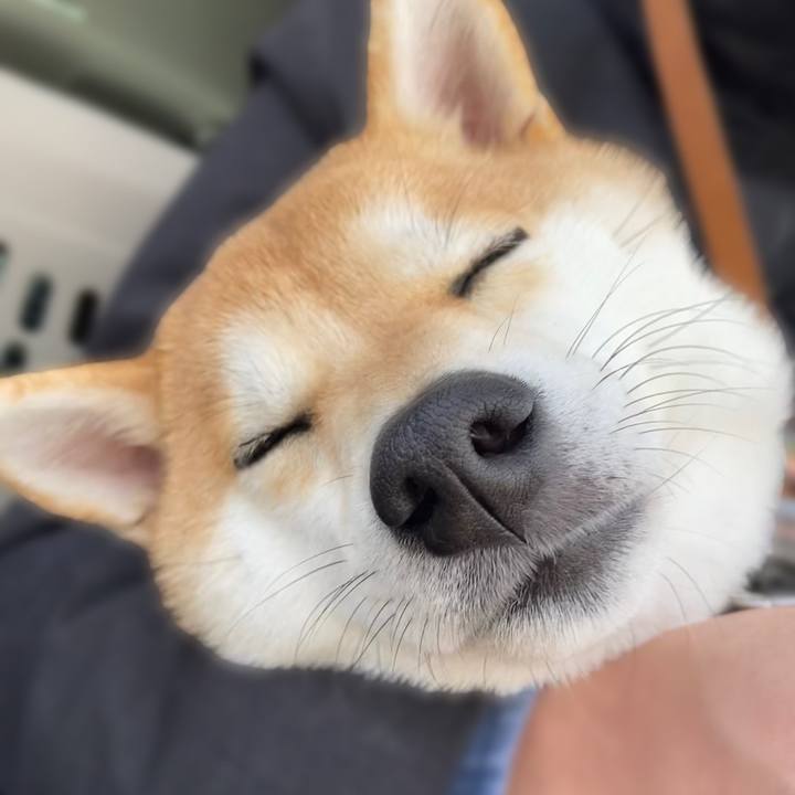 99ff7f94 a026 4f70 bd3f f12bc5e3e547 1676712849088