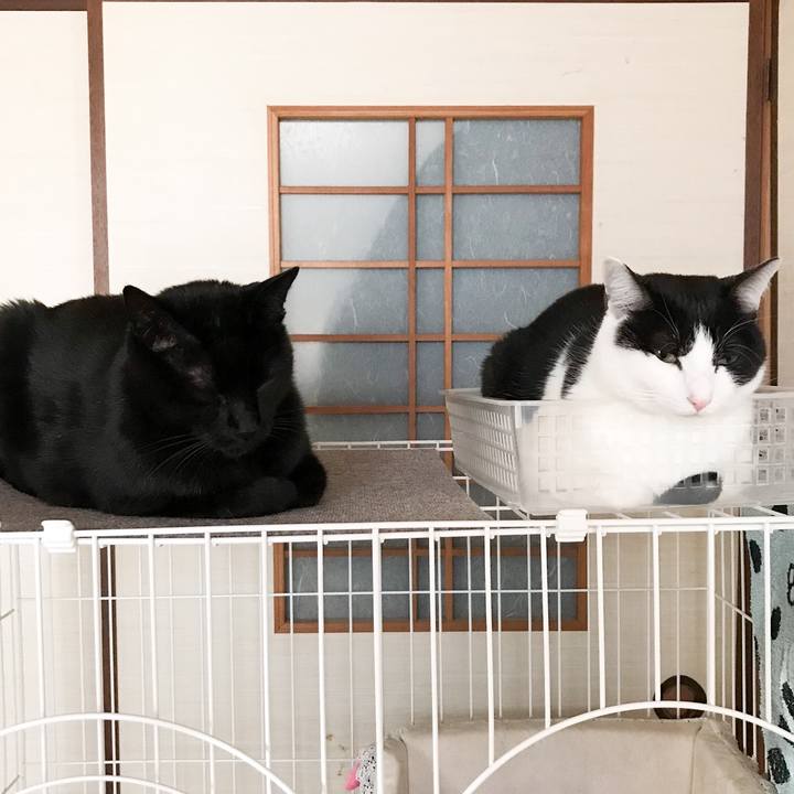 99ff8f05 d47f 437c aa93 56fc13d4e868 1512549907407