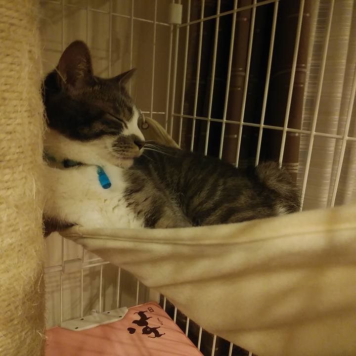 99ffa2ad 5793 476b b64e a3b17e07ae6c 1583252354080