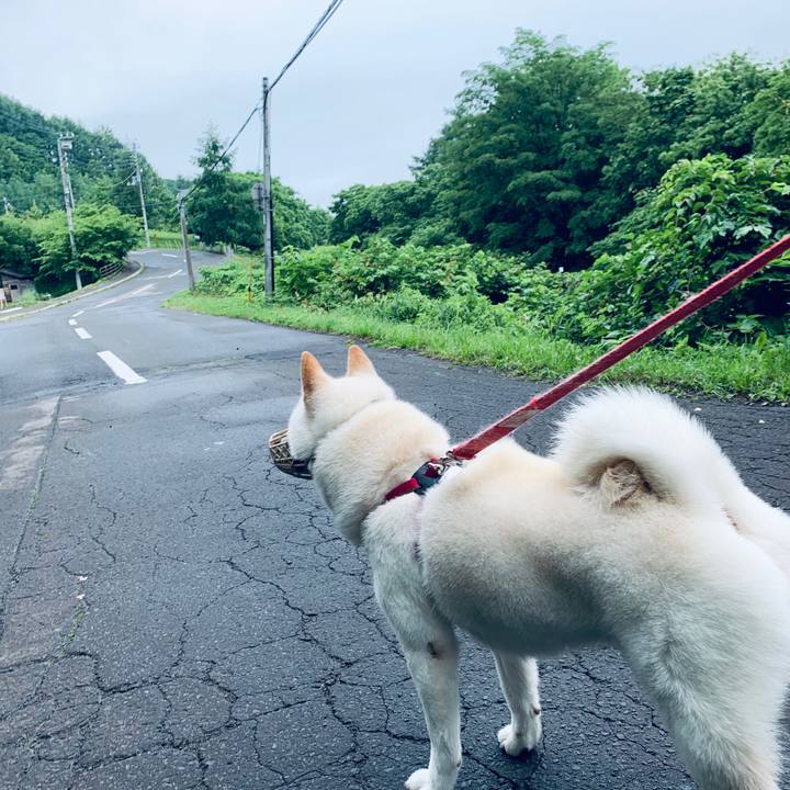 99ffad94 386c 4ac9 829f eb54eefd71bf 1593464553858