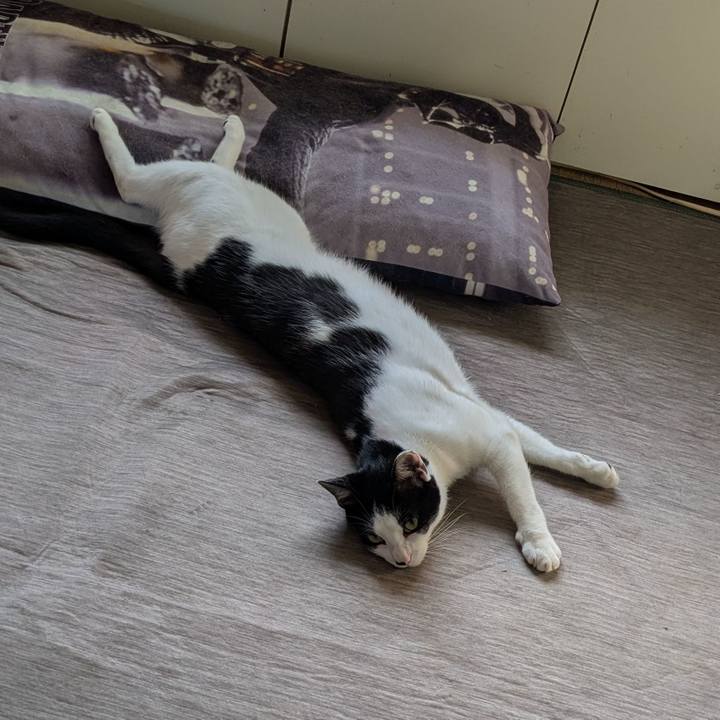 9a000230 8689 429f a6a7 14892a0b5ab0 1750161686702