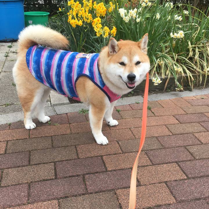 9a0013bb 7081 4d6e 8d60 797d89bad404 1552189964190