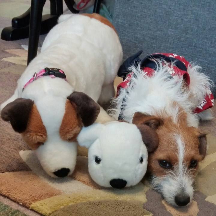 9a001a80 406d 427a aa7a 8f8747fe05ee 1535869678436