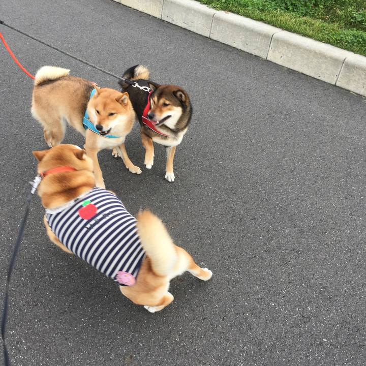 9a0034e7 2e40 429b bb64 03e6935a482b 1540616555754