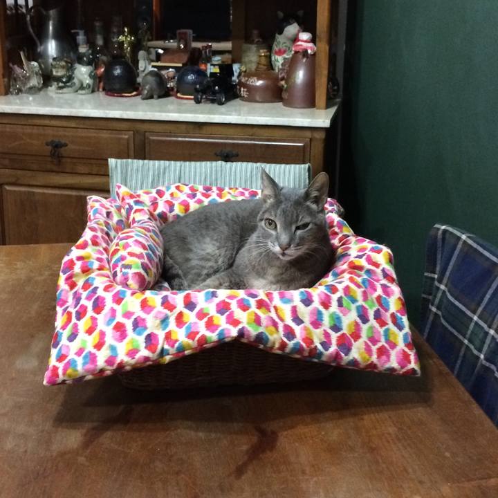 9a0073d7 d81e 47b1 a6b0 0370c4e07938 1544798826873