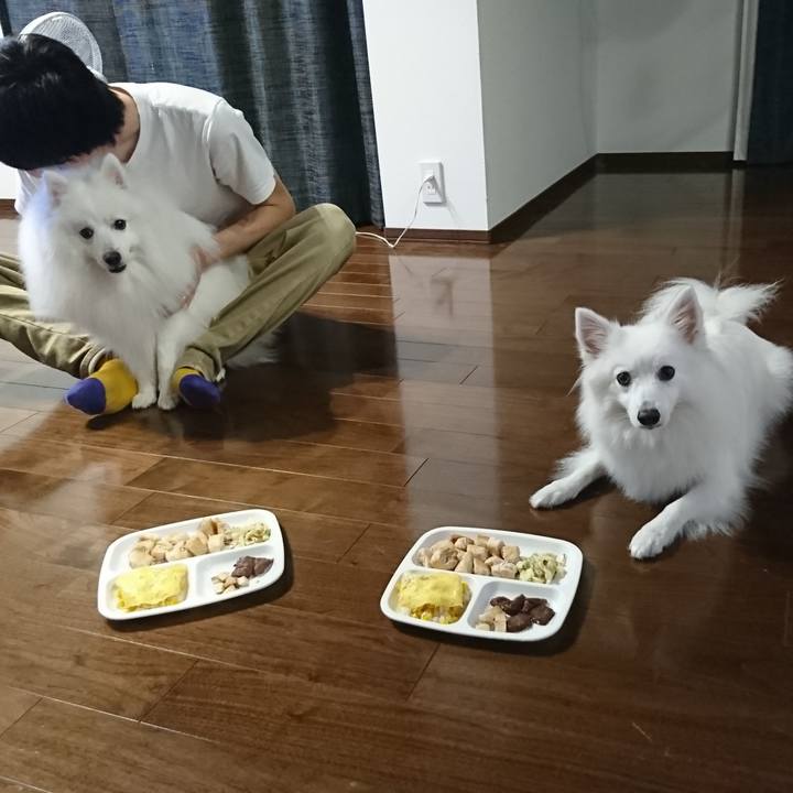 9a00d271 2d62 41a2 8fc7 6e9a33b96d4c 1566990983698