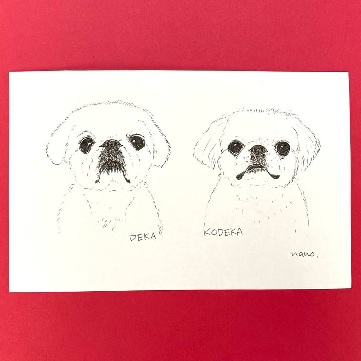 9a00d335 306b 4668 9735 08026a30dcb4 1646090416685