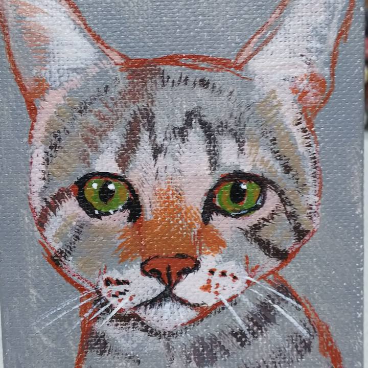 9a00e73f 73ee 4310 b864 d14671b0ef06 1550809182462