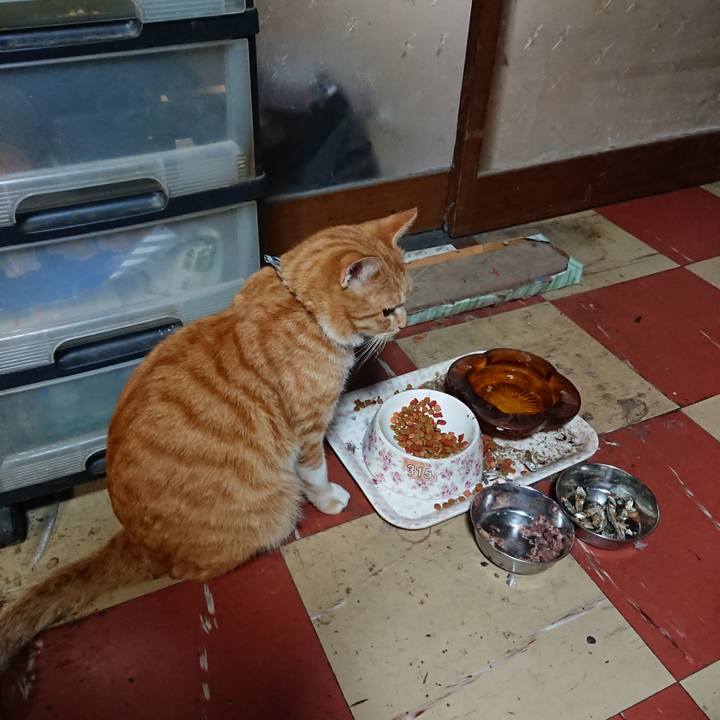 9a010b23 6560 41af a268 2dfafca19f1c 1571145396486