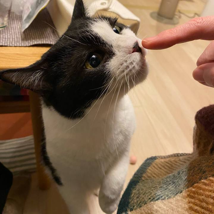 9a017dcc 7bfb 4a62 90fe 367ea7d247df 1763630530827