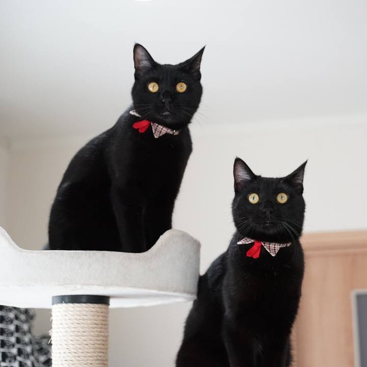 9a01a633 6c82 42b9 abb8 870357775ca8 1526824999803