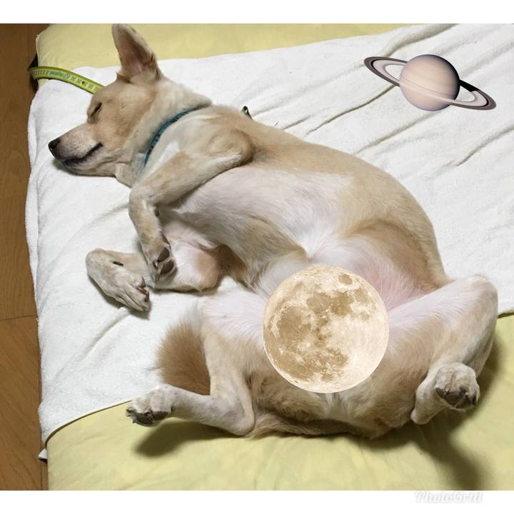 9a01b026 503e 49e2 a79f 85fd6cb836d7 1535296347053