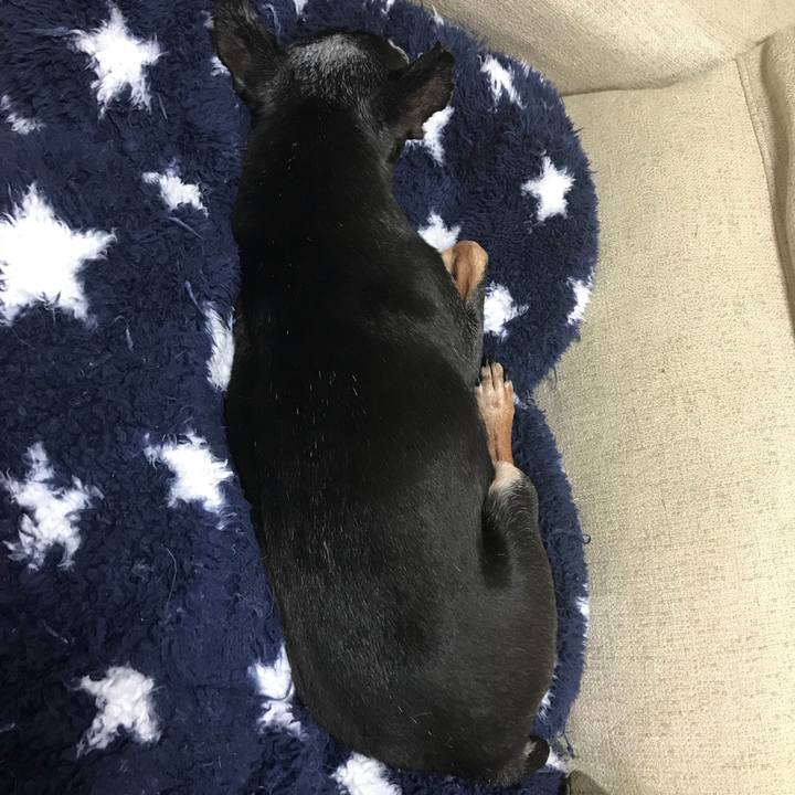 9a01d8bb 2191 4c41 a88e 988f4f03c387 1567774532379