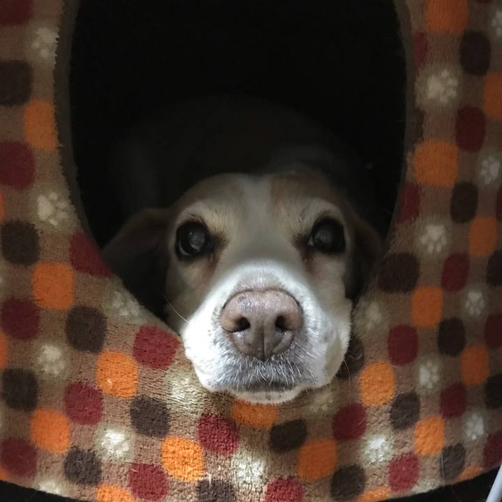 9a022b95 0507 421f 9dbd e50c5b23a8a5 1556271146665