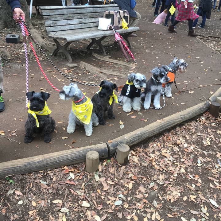 9a022db0 f2a7 454d ae75 a726893d38e7 1509182283823