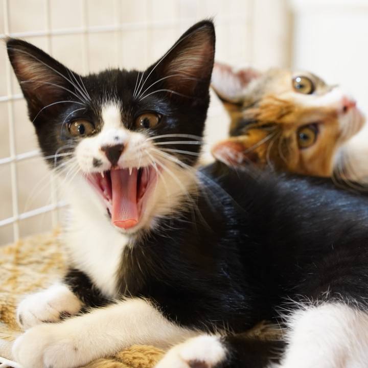 9a026e75 3ff7 41c0 aab0 3a306c242520 1571963244146