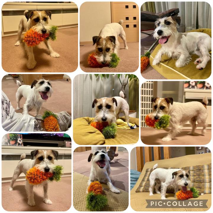 9a02cb18 d213 4bc4 917f 963c563547b1 1661696157337