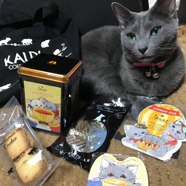 9a02d031 9ffb 46de b743 5efc243dab05 1519286233041