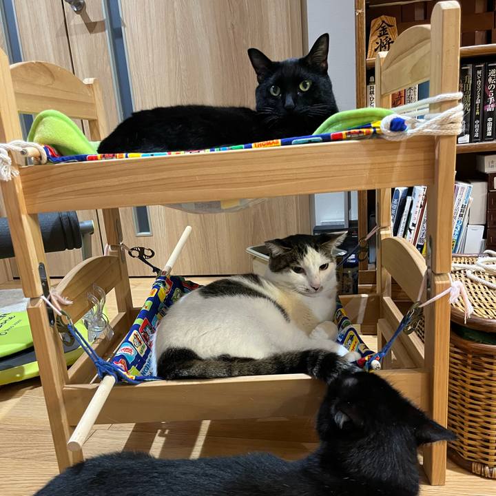 9a02e48f 43f3 4d5c ba4e 5866681d8e81 1725797787876