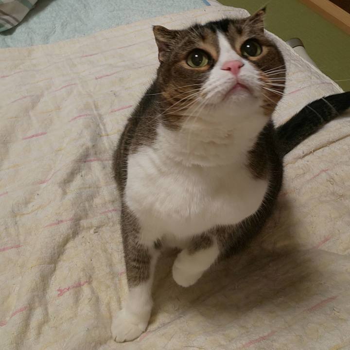 9a033cb9 3466 411a 8cb4 2a5c551ad9b1 1682521889533