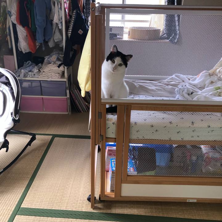 9a036e00 4389 4d93 9601 cf86db070a74 1583367876071