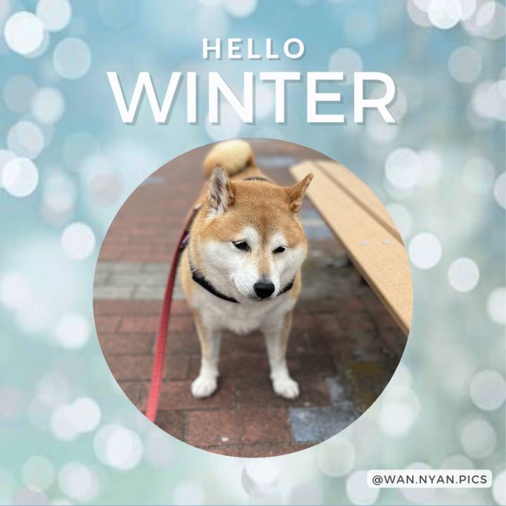 9a037676 1396 44db 9035 6a860c674406 1701763534312