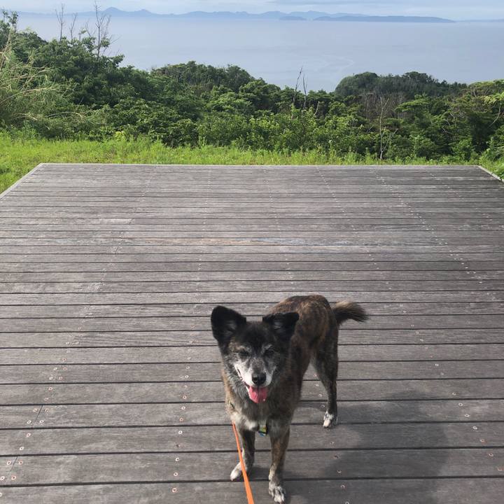 9a038af4 bf83 4218 b426 ef068674e73c 1685314670685