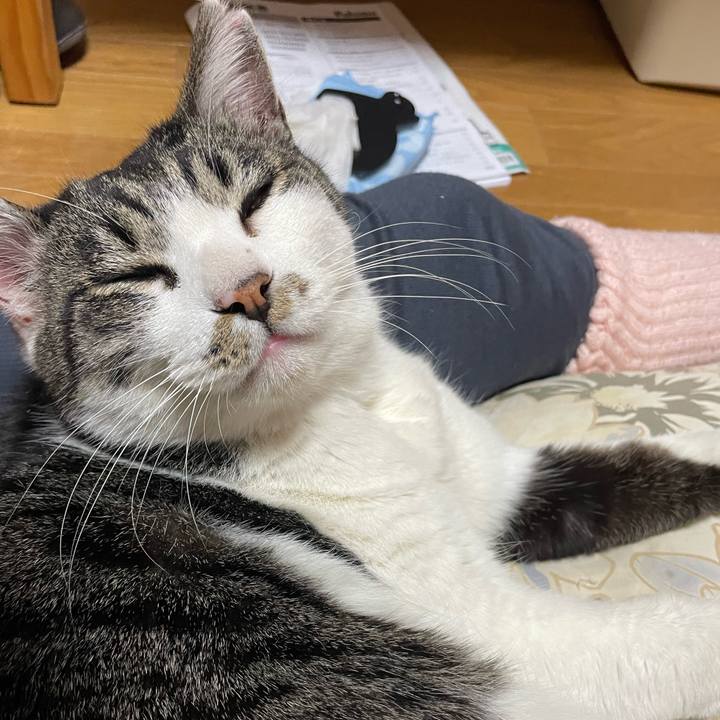 9a039165 3825 4107 b95f d1ddc26981da 1701779773230