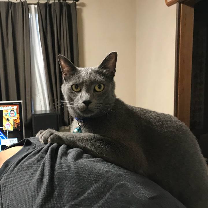 9a039172 bf5d 443a be45 176a7063fc5d 1527333049921