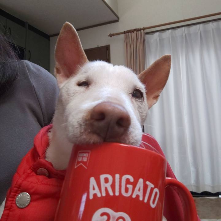 9a03e736 bf7d 4bc6 80aa 1aa9d69e63c6 1556754538541