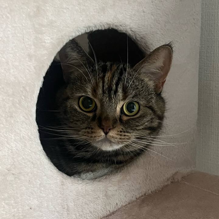 9a040347 06d8 4ba7 896f 329feddd63b0 1765713890756