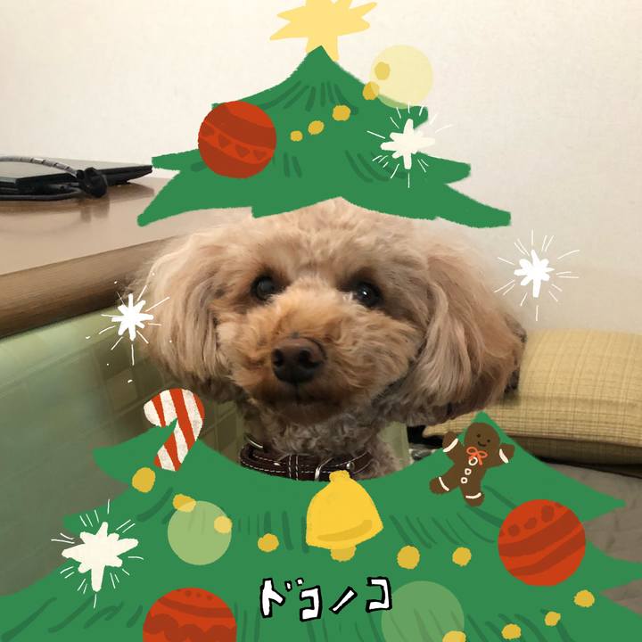 9a04090b d6bf 4cb5 949b cb7d6495b1bb 1763557578591