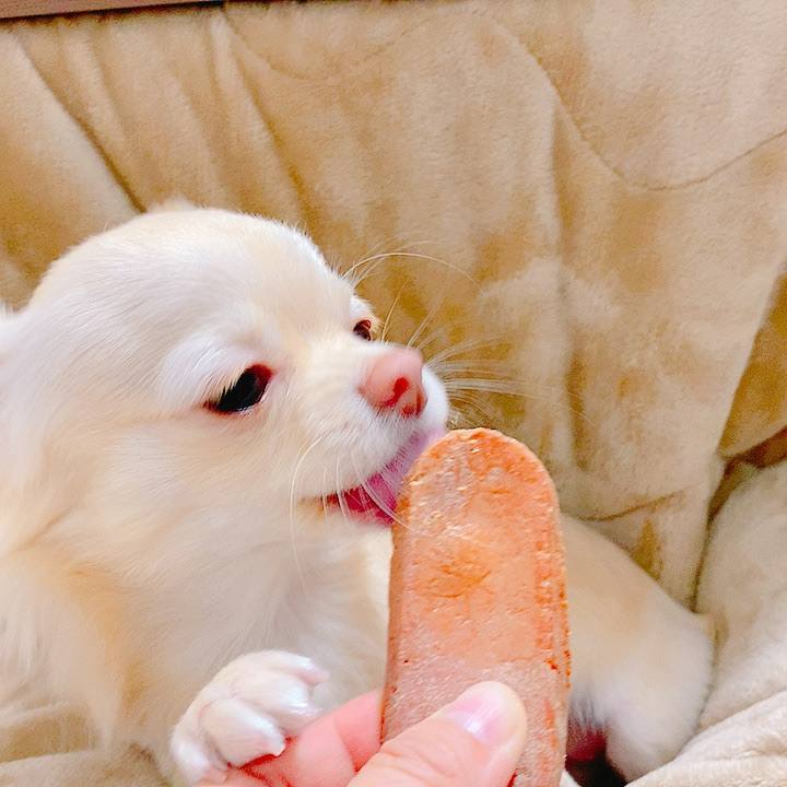 9a041c65 222c 4814 b021 1d7f7b0dd7d1 1608969926500