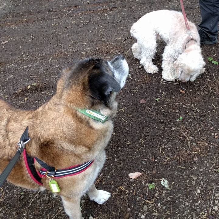 9a04b630 8e34 46fa 93ed 871f93d0ae73 1524096174252