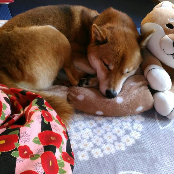 9a04c400 4255 43a3 9792 33be91ddb304 1515561179554