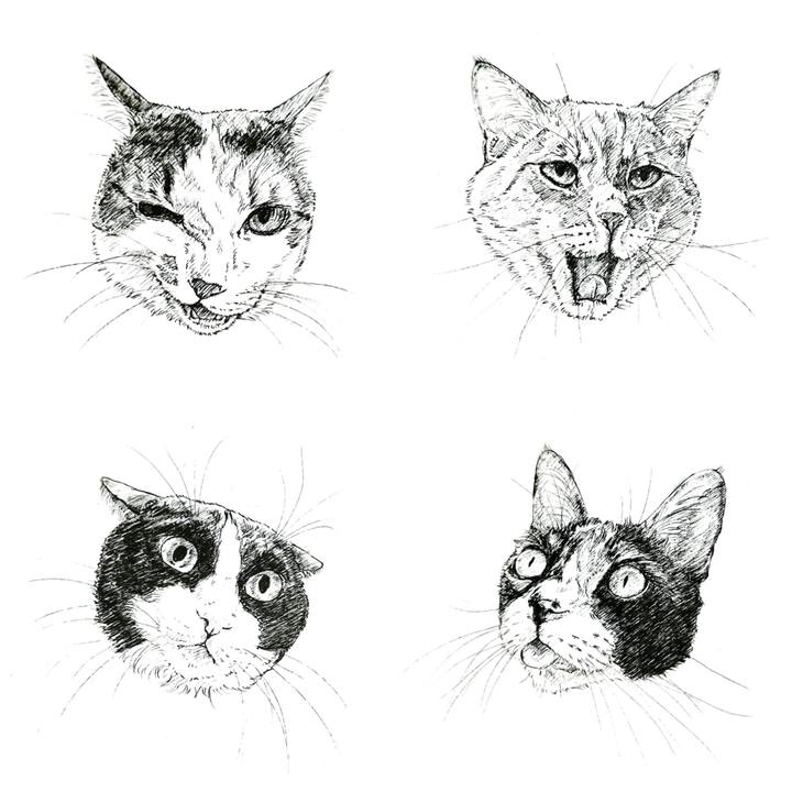 9a04d086 8ce7 4271 a379 b8578eb83f1f 1635865221482