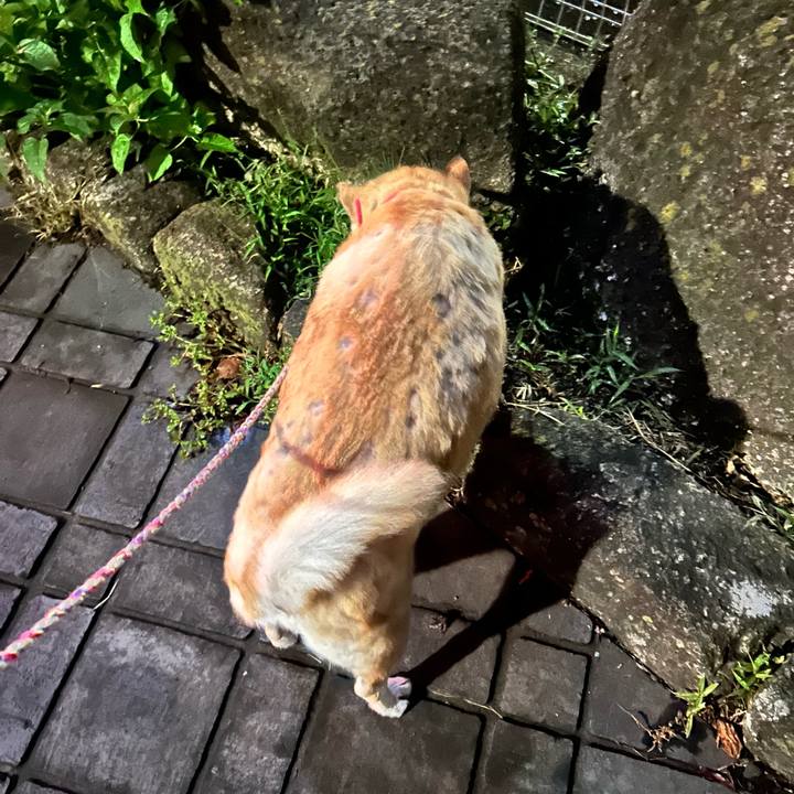 9a04d3e7 58d4 4aa2 ad80 a459496e304d 1759364103900