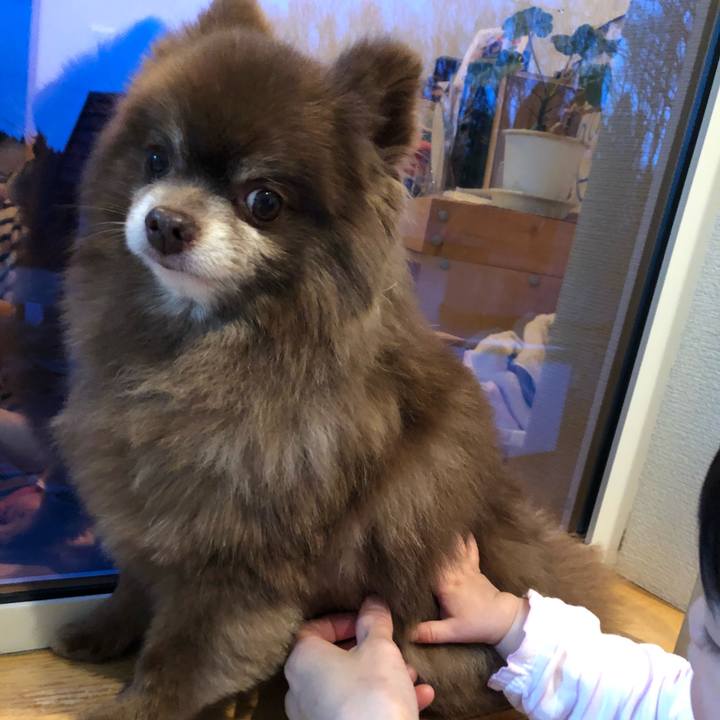 9a04dbfd 439c 474f a430 7e704253441c 1588079988420