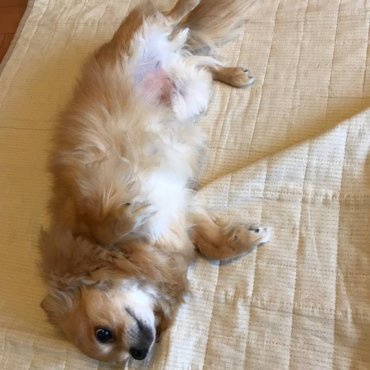 9a04e13b c834 4779 ab97 65b1135104e4 1524436068899