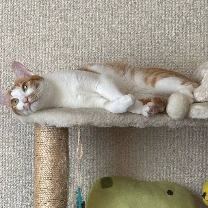 9a04ea3b 7b4f 4a0e a50b 14a02d68f041 1751329488983