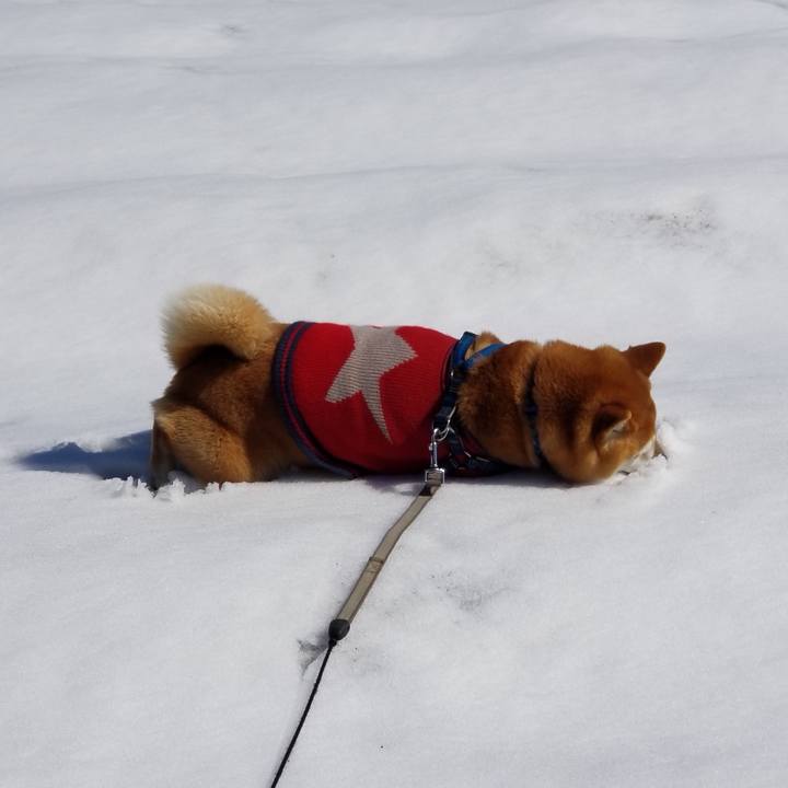 9a0535f7 151a 4689 84d9 f04838ea288b 1552105490688