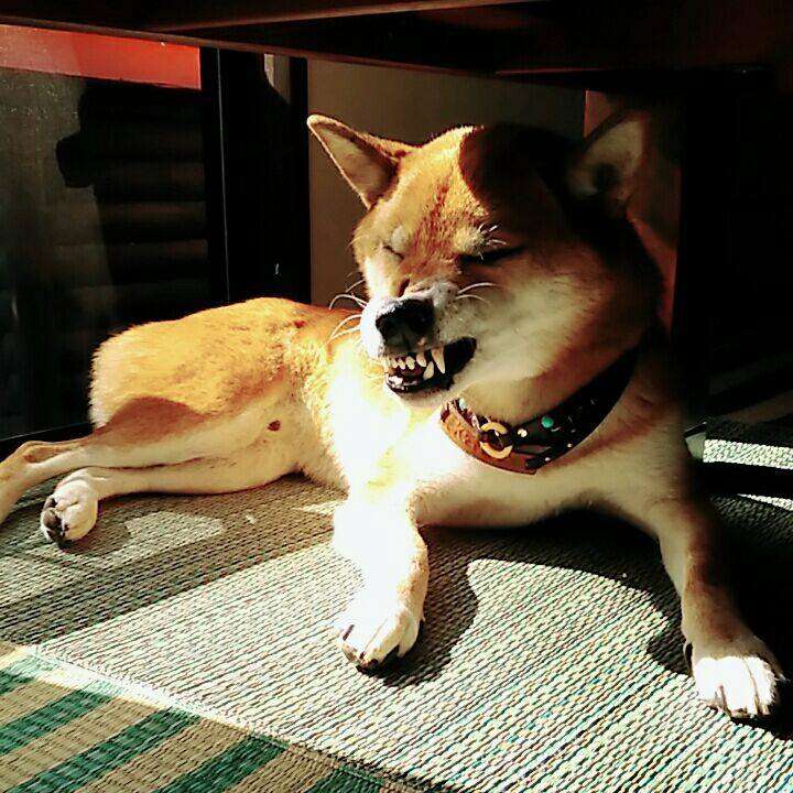 9a056fbf 2f5e 42d7 a9e5 9881e8f16179 1572400099191