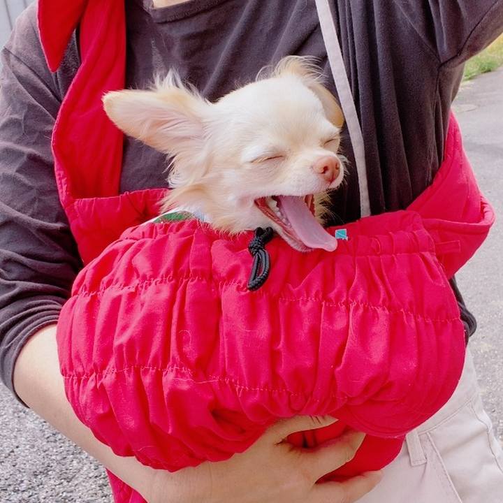 9a05a077 2b3b 406d b527 75b04c12690f 1620961379583