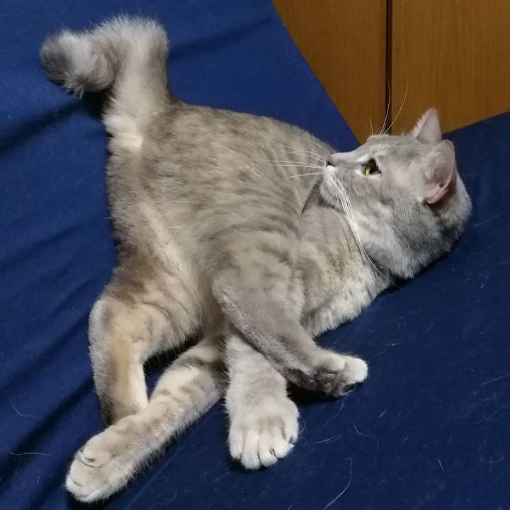 9a05aa56 44fa 4e31 8844 d100eb7903c0 1520050465620